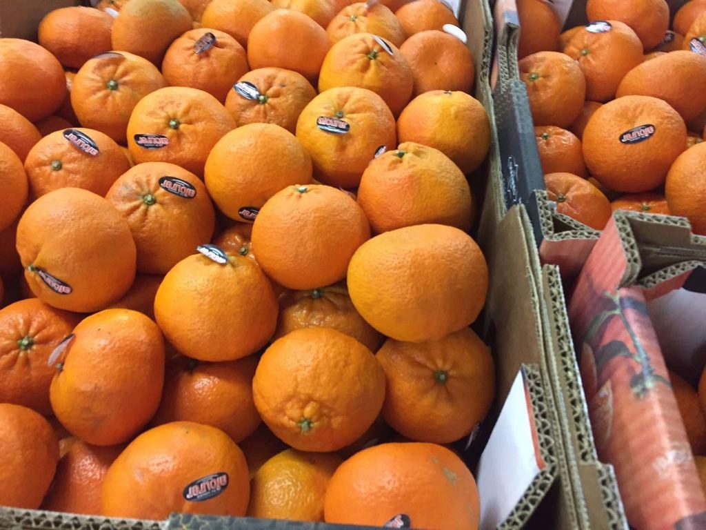 Мандарины berkane. Мандарины kgl. Страна мандаринов. Мандарины гауда. Мандарин орри сорт.